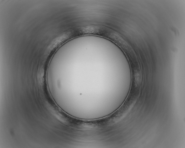 X0000113900490200910081832