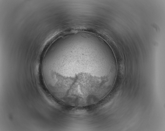 X0000113900491200910081832