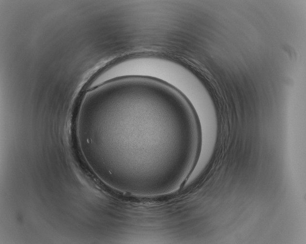 X0000113900492200910081832