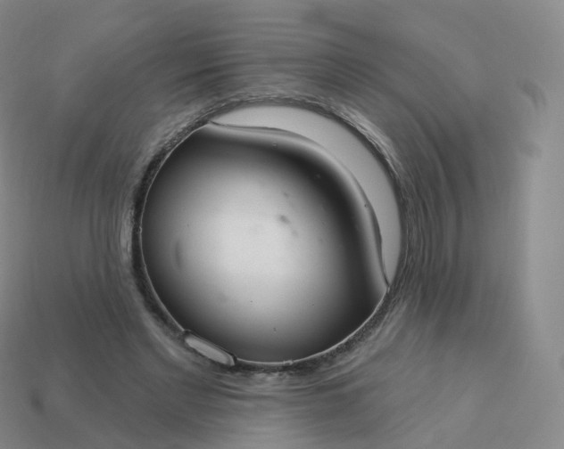 X0000113900493200910081832