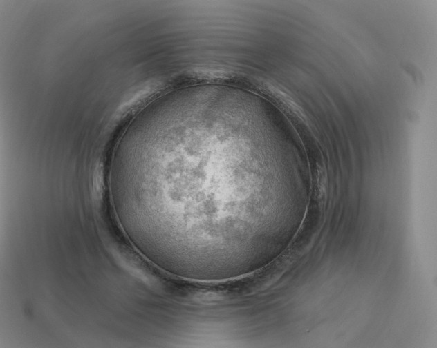 X0000113900494200910081832