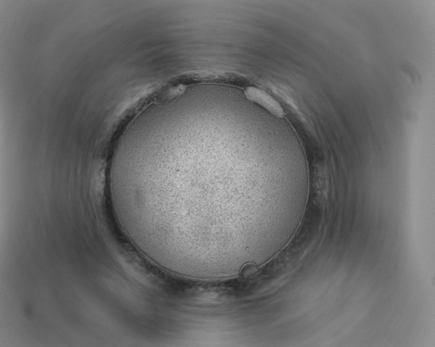 X0000113900495200910081832