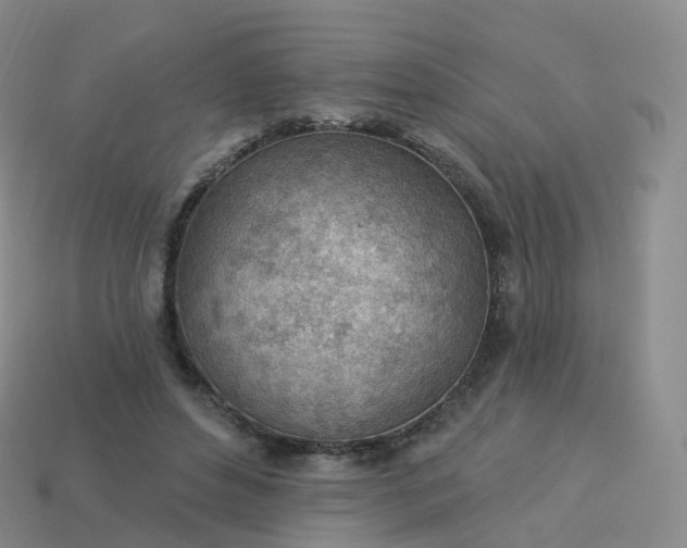 X0000113900496200910081832