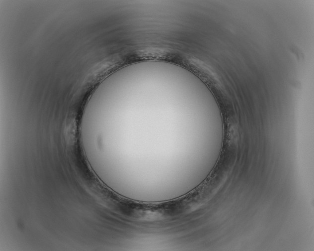 X0000113900498200910081832