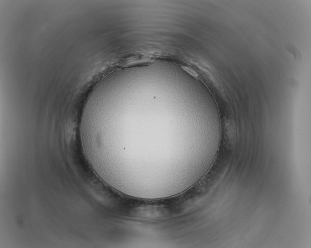 X0000113900499200910081832