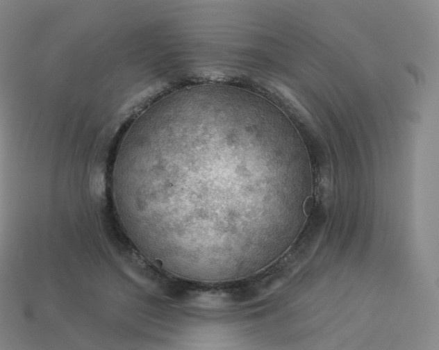 X0000113900500200910081832