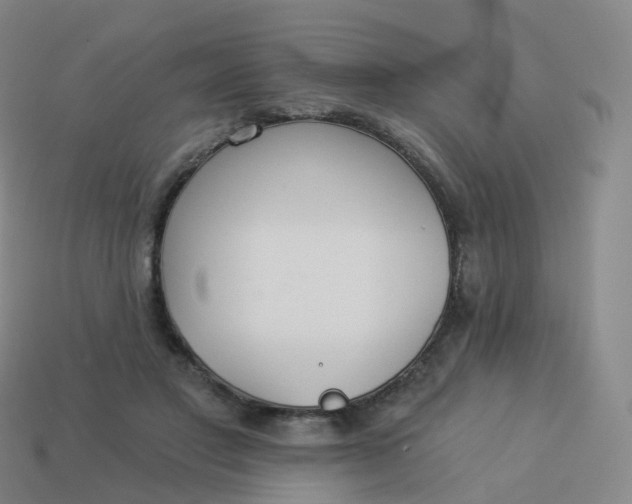 X0000113900501200910081832