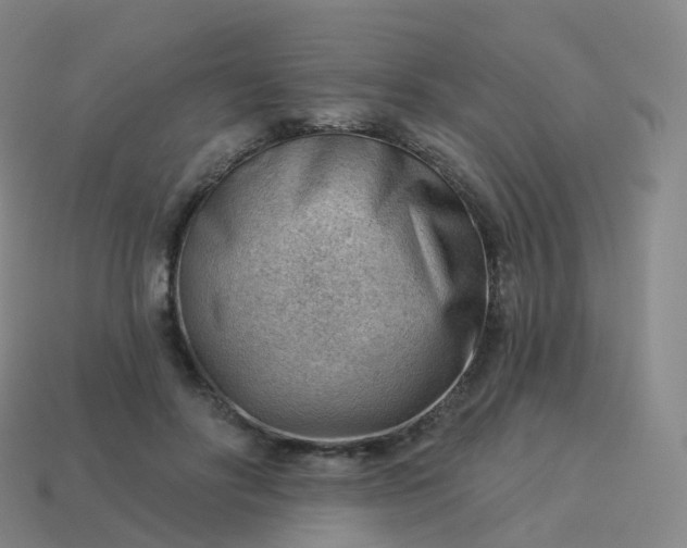 X0000113900502200910081832