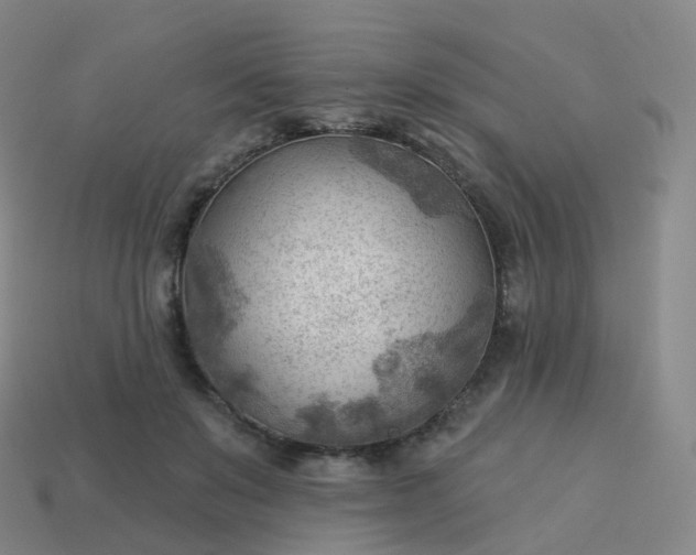 X0000113900503200910081832