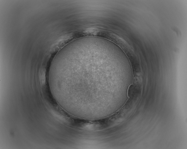 X0000113900504200910081832