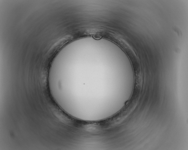 X0000113900505200910081832