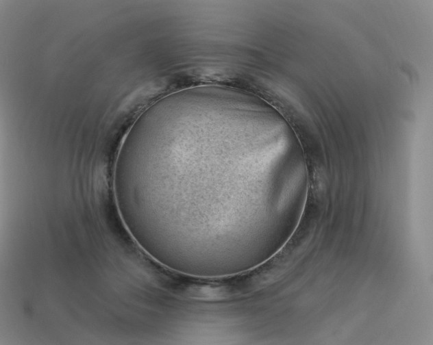 X0000113900506200910081832