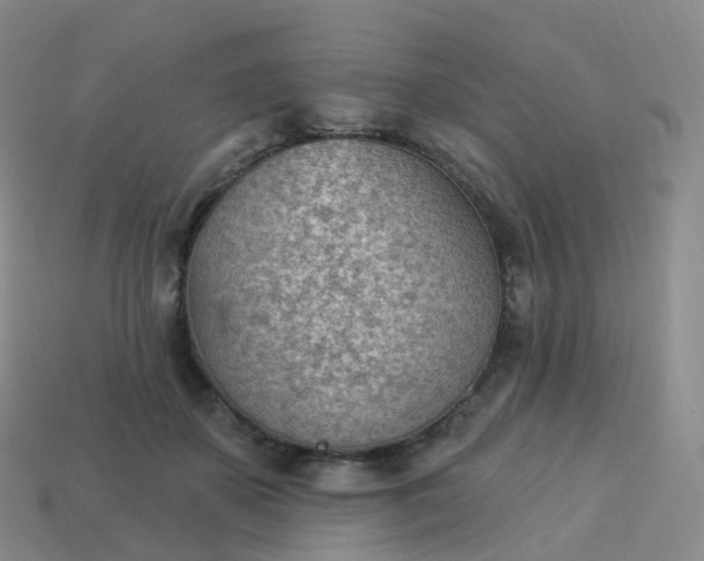 X0000113900507200910081832