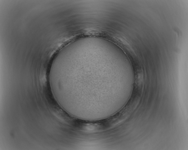 X0000113900508200910081832