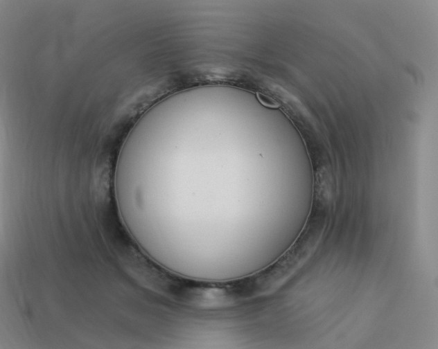 X0000113900509200910081832