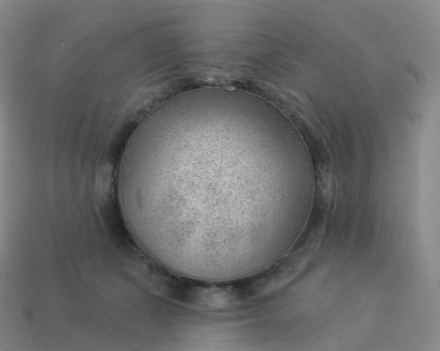 X0000113900511200910081832