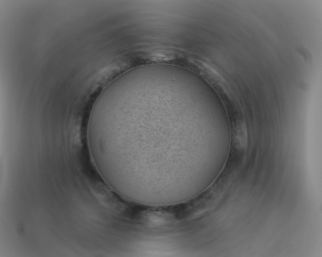 X0000113900512200910081832