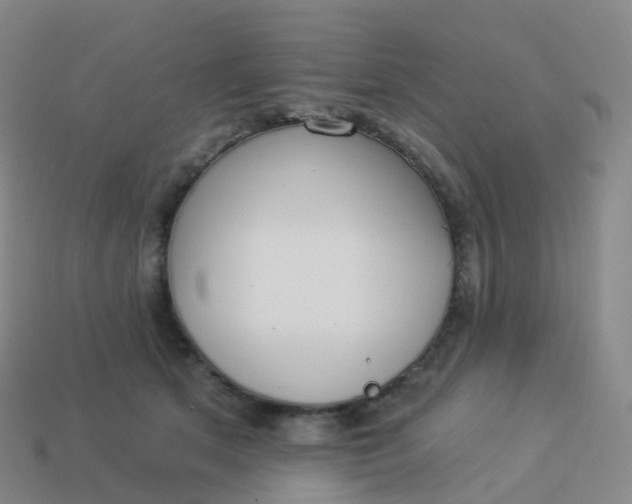 X0000113900513200910081832