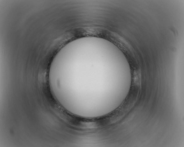 X0000113900514200910081832