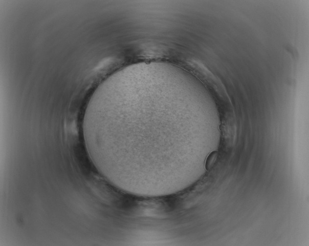 X0000113900516200910081831