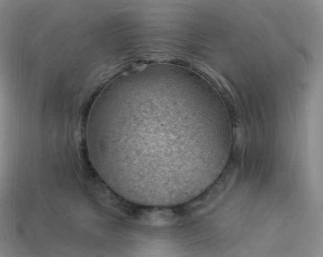 X0000113900517200910081831