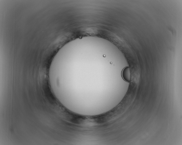 X0000113900518200910081831