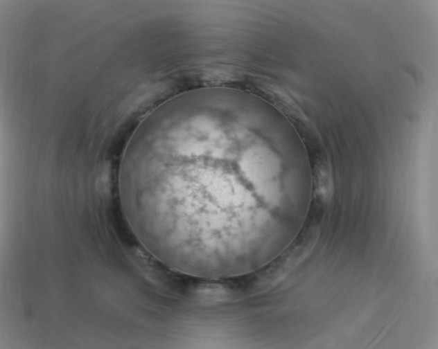 X0000113900519200910081831