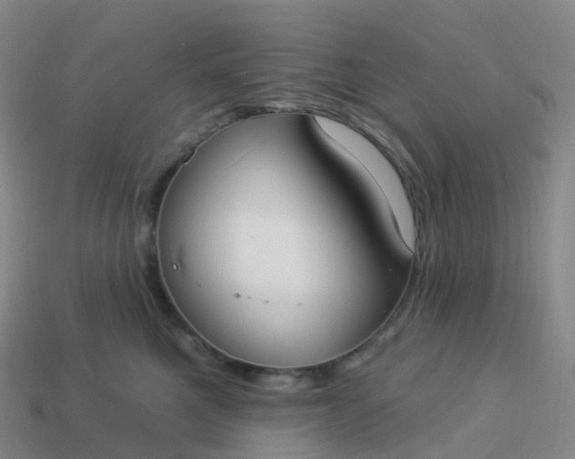 X0000113900521200910081831