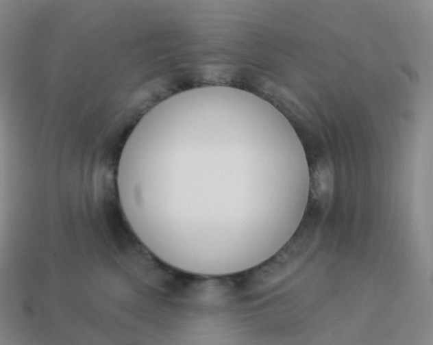 X0000113900522200910081831