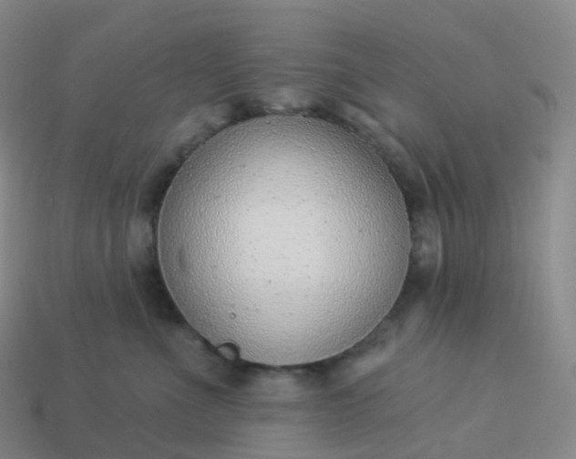 X0000113900523200910081831