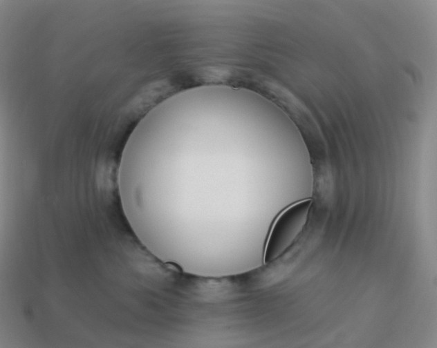 X0000113900525200910081831