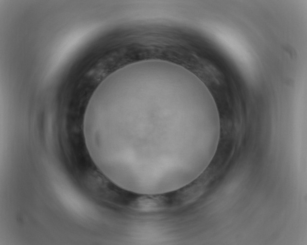 X0000113900526200910081831