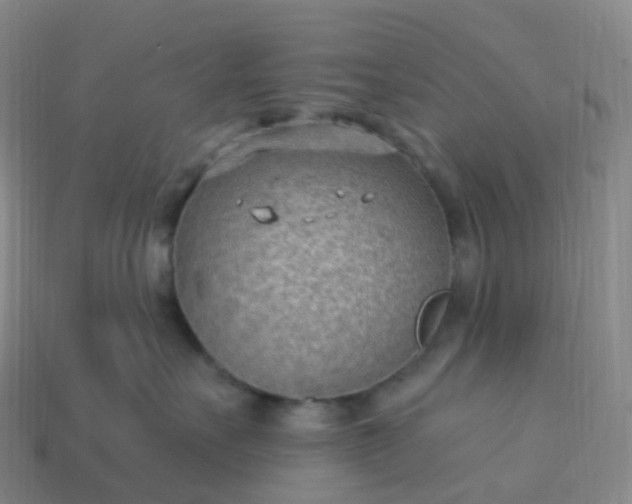 X0000113900527200910081831