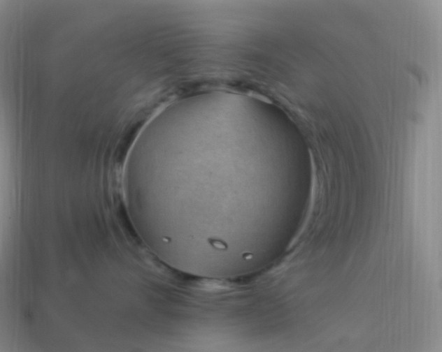 X0000113900528200910081831