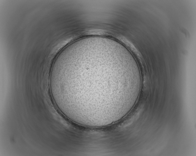 X0000113900529200910081831