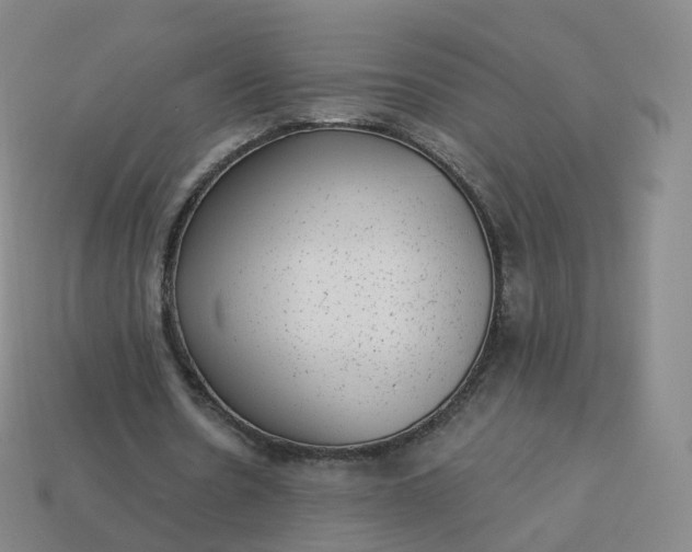 X0000113900530200910081831