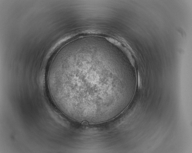 X0000113900531200910081831