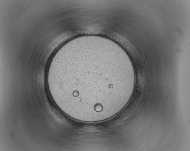 X0000113900534200910081831