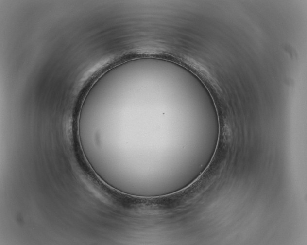 X0000113900535200910081831