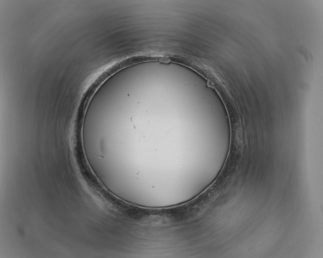 X0000113900536200910081831