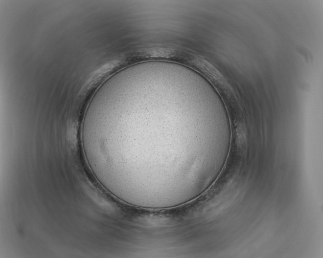 X0000113900537200910081831