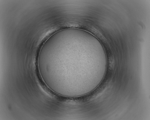 X0000113900538200910081831