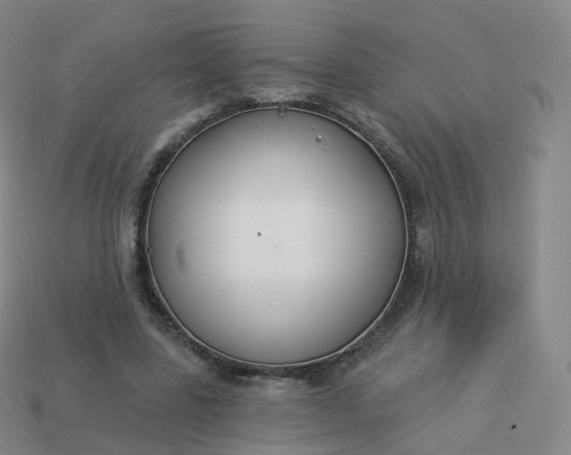 X0000113900539200910081831