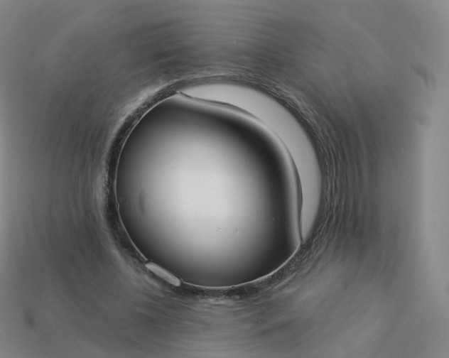 X0000113900540200910081831