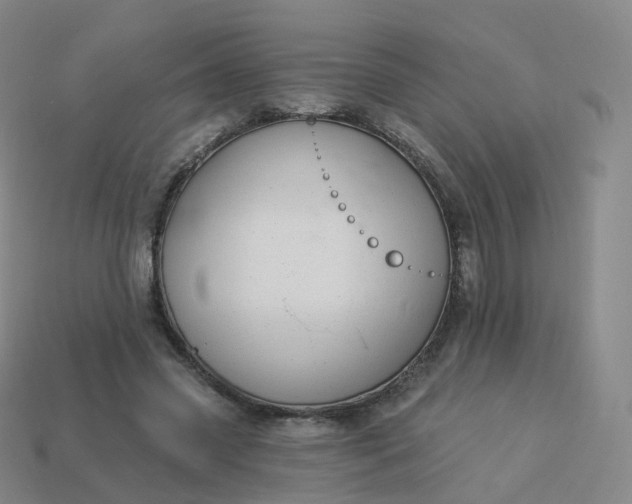 X0000113900541200910081831