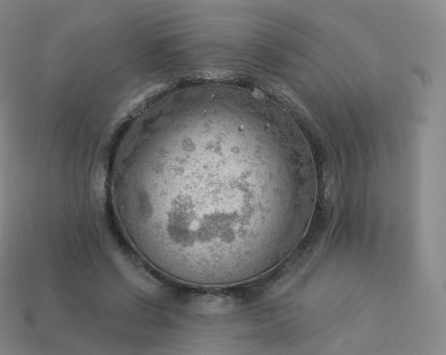 X0000113900542200910081831