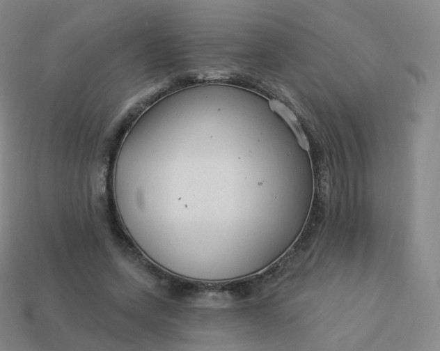 X0000113900543200910081831