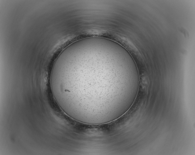 X0000113900544200910081831