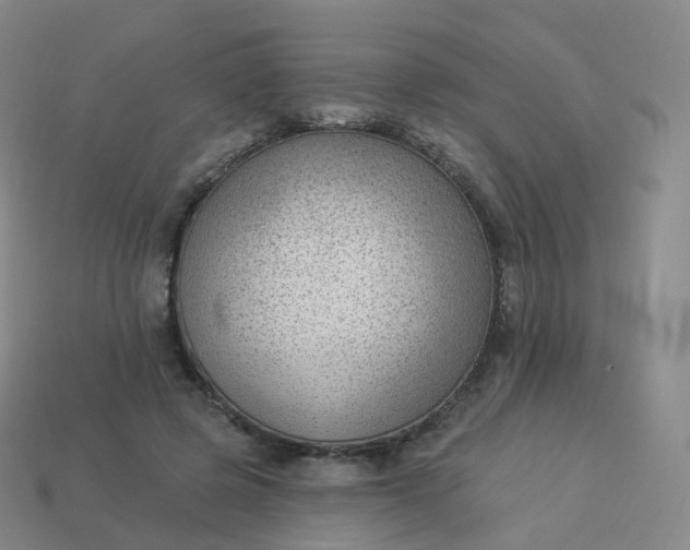 X0000113900545200910081831