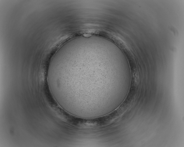 X0000113900546200910081831